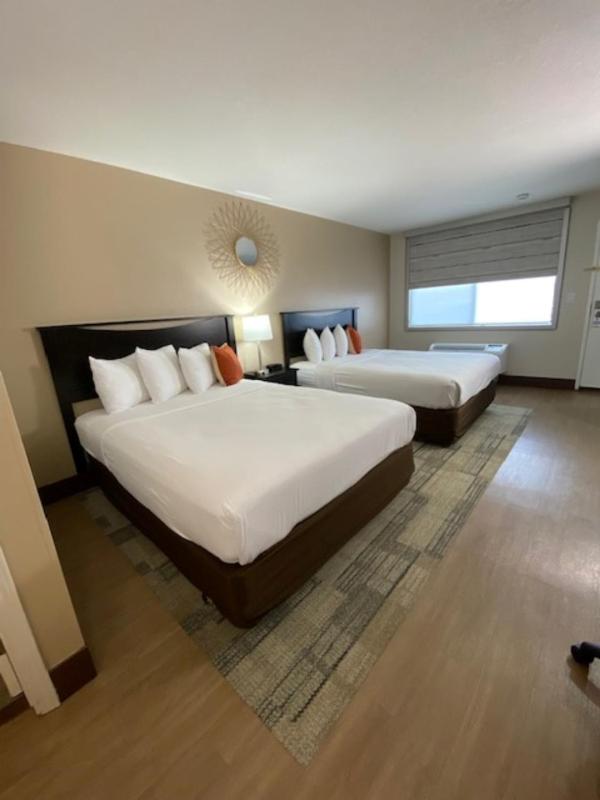 Two Queen Size Beds image 4