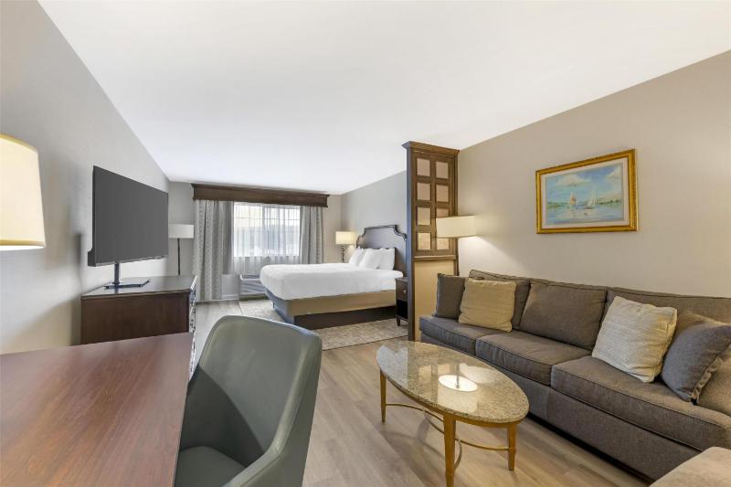 Deluxe King Room image 3