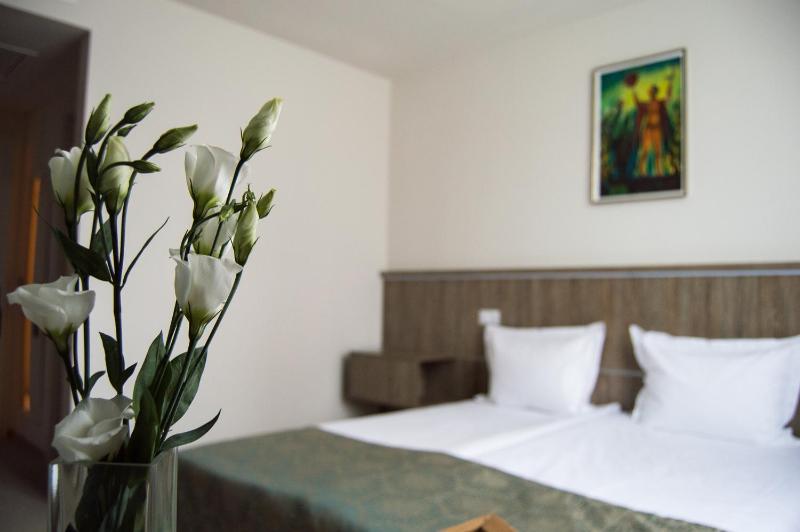 Superior Double or Twin Room image 1