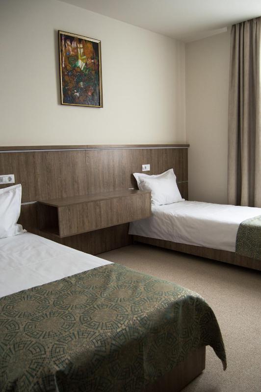 Superior Double or Twin Room image 4