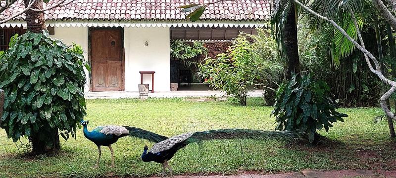 The Secret Guesthouse - image 8