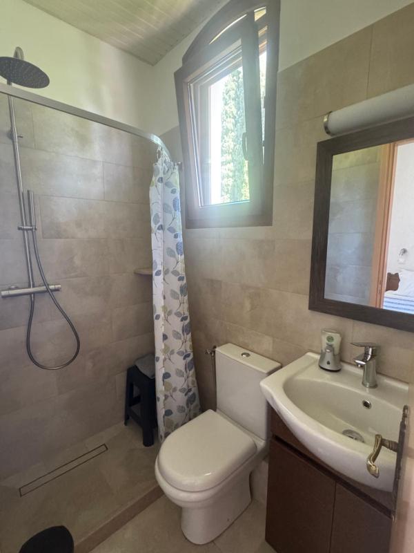 Large Single Room image 4