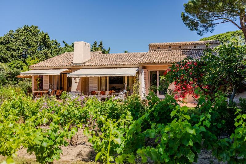 Villa les Vignes Basses - Saint Tropez - image 22