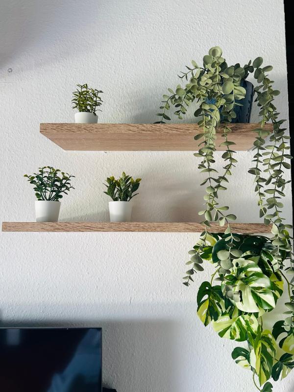 Basic Triple Room image 1