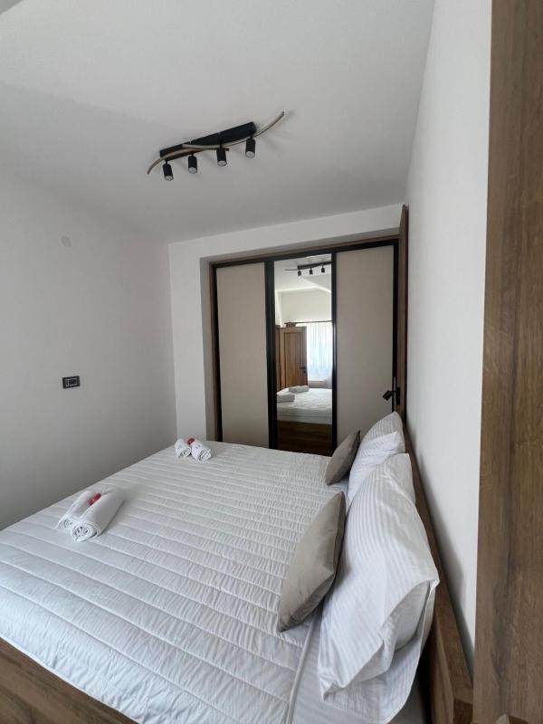 Apartmani Aleksic - image 12