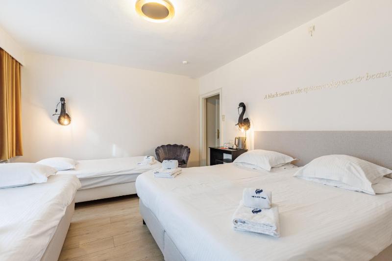 The Black Swan Hotel - image 12