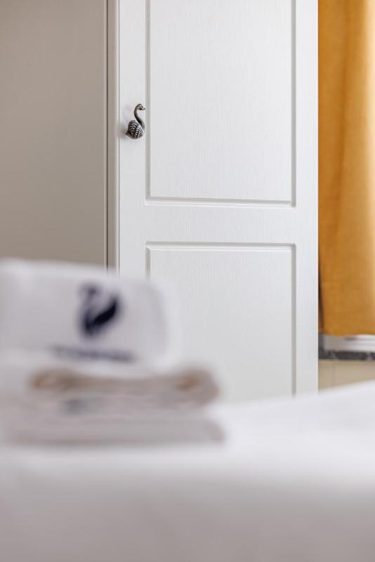 The Black Swan Hotel - image 7