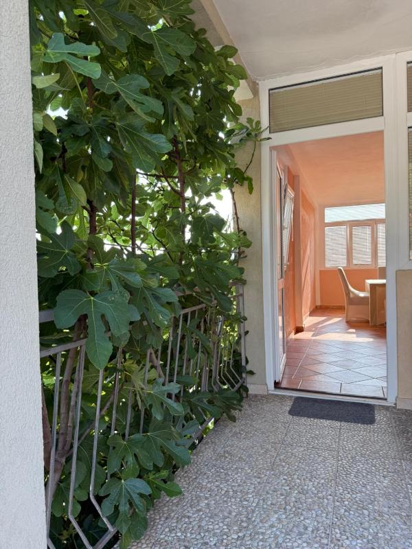 Seaview Escape Apartments Tivat - image 7