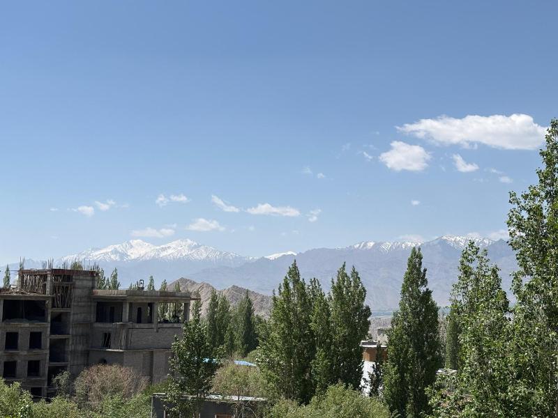 Rezangla Hotel - image 8