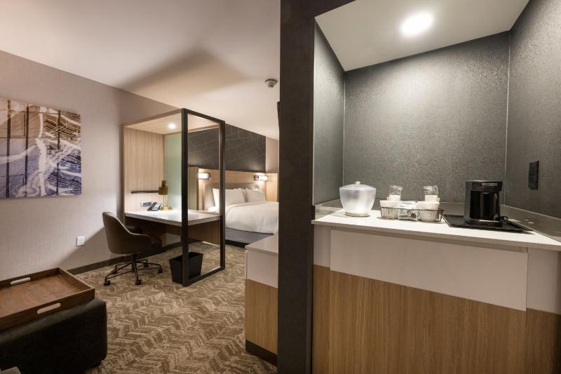 SpringHill Suites by Marriott Colorado Springs Downtown - image 23