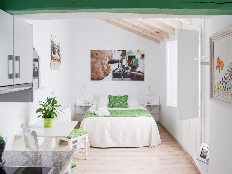 Standard Studio Verde image 4