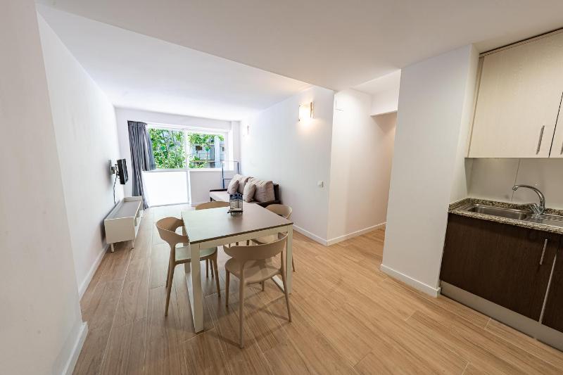 One-Bedroom Apartment image 4