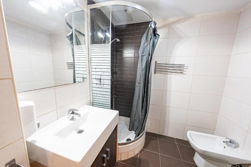 One-Bedroom Apartment image 2