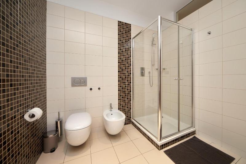One-Bedroom Apartment image 4