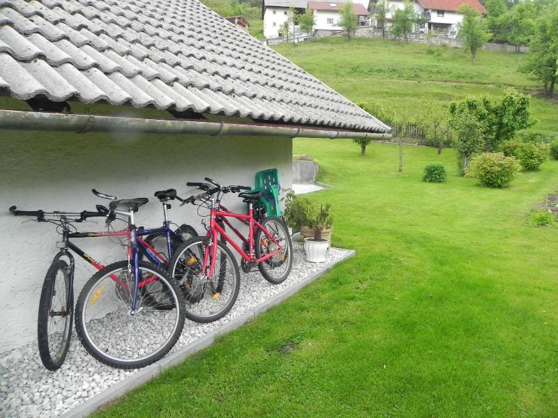 Apartments Vesna - image 3