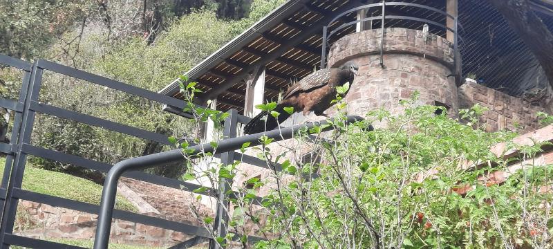 Apartamentos del Cerro - image 15