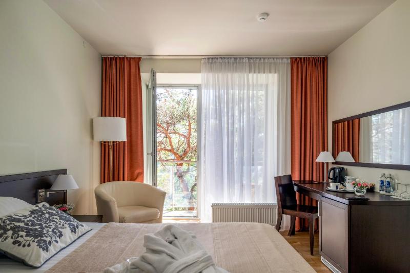 Superior Double Room image 4