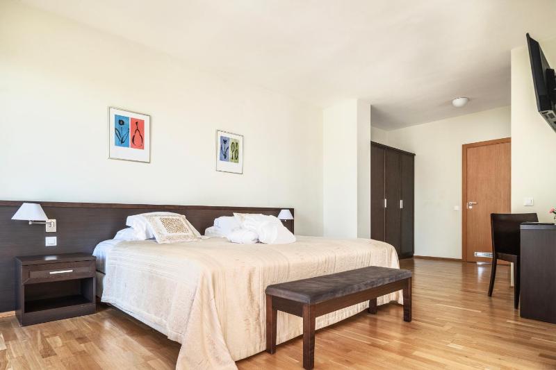 Deluxe King Suite image 3