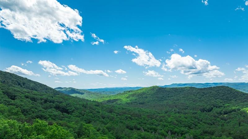 Ridge Top Lodge - image 7