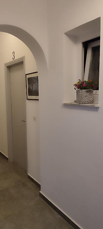 Maria Studios - image 25