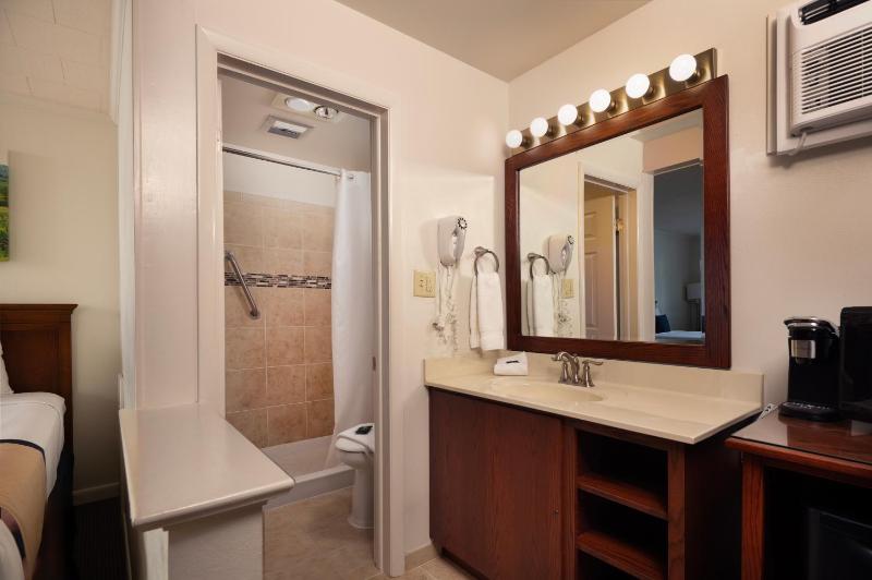 Deluxe Double Room image 4