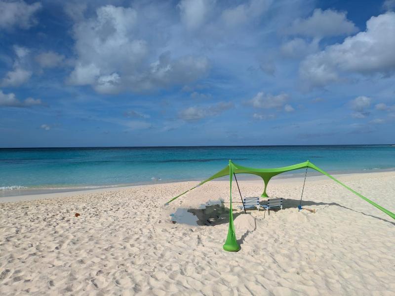 Aruba Islander Residence com - image 40