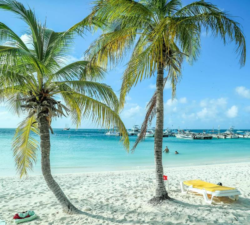 Aruba Islander Residence com - image 23