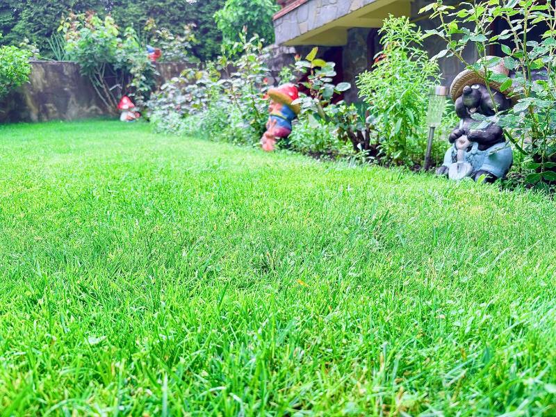 Superior Villa image 3