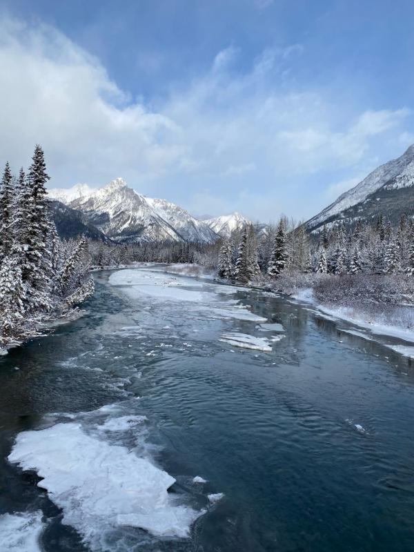 Cozy Canmore resort with mt view hot tub and pool - image 5