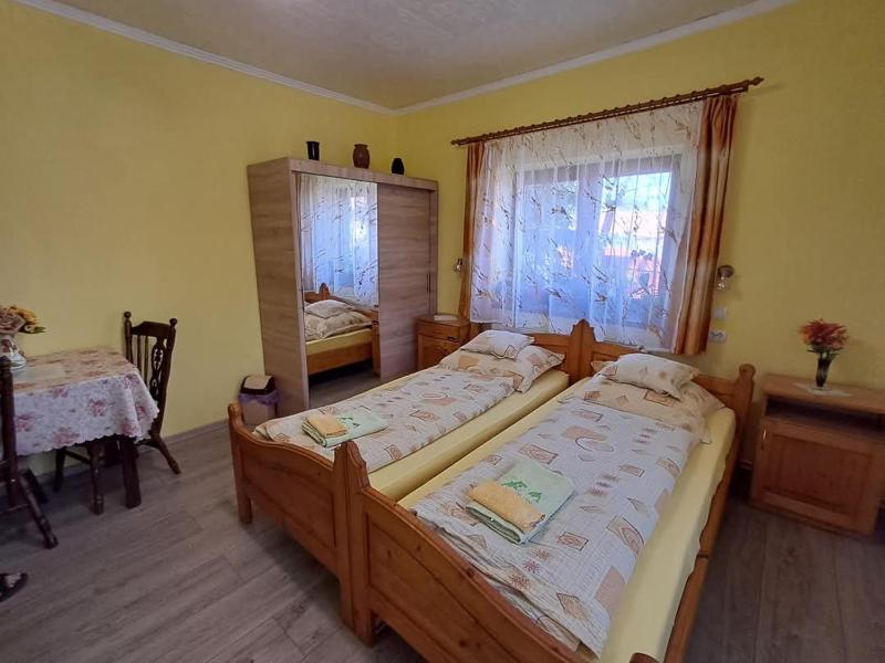 Double or Twin Room image 4
