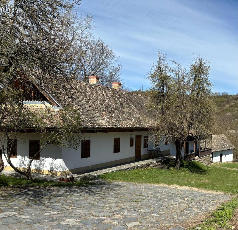 Bungalow (5 Adults) image 1