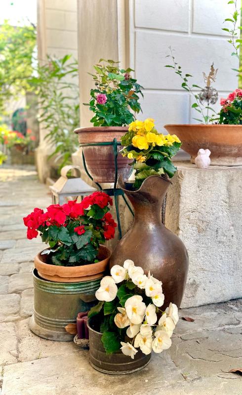 Villa La Dogana - B&B with a lovely garden - Private parking - Slow living in an old-fashioned historical home - image 21