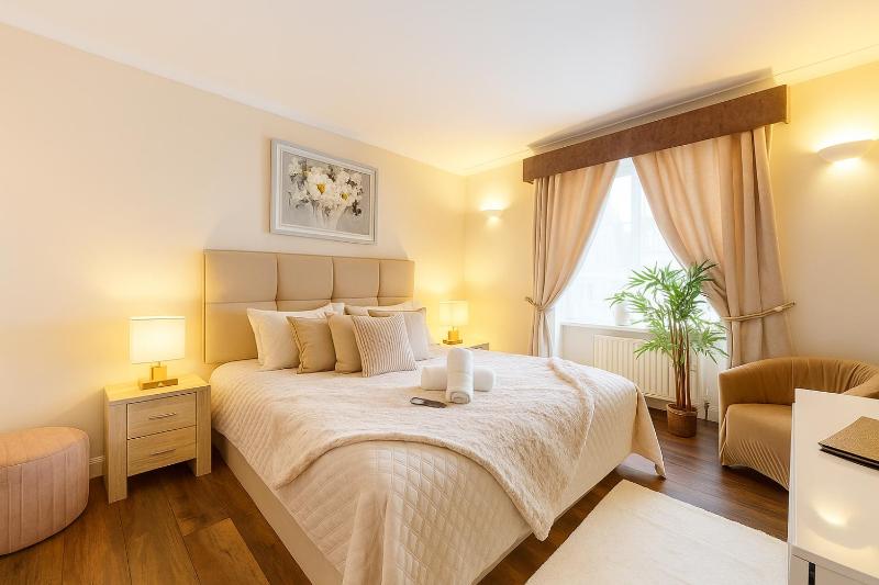King One-Bedroom Apartment image 3