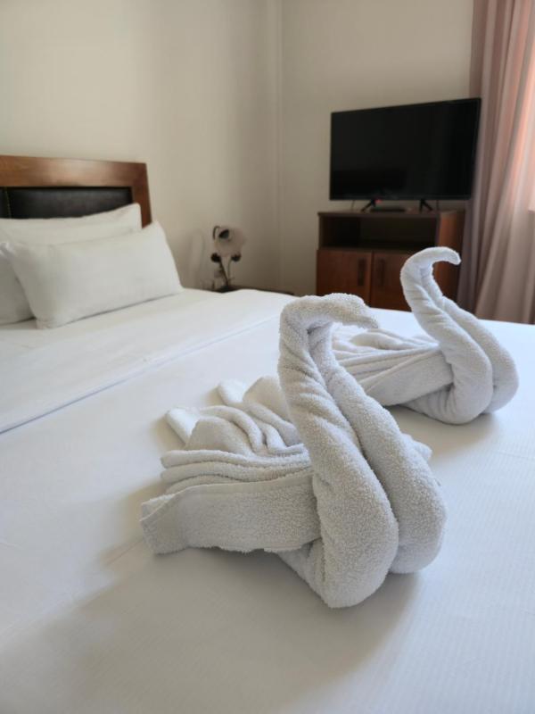 Deluxe Double Room image 1
