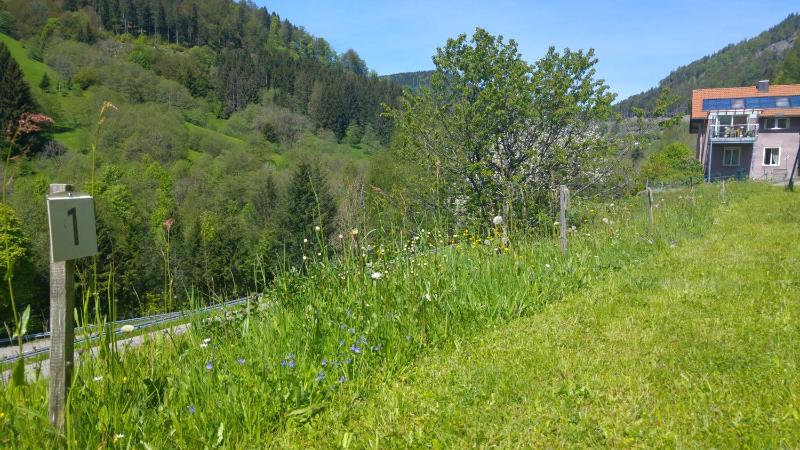 Two bedroom apartment with Balcony and Panorama View image 4