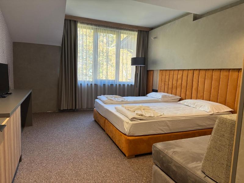 Deluxe Double Room image 1