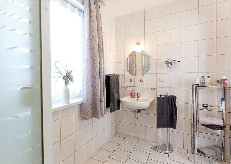 One-Bedroom Apartment image 3
