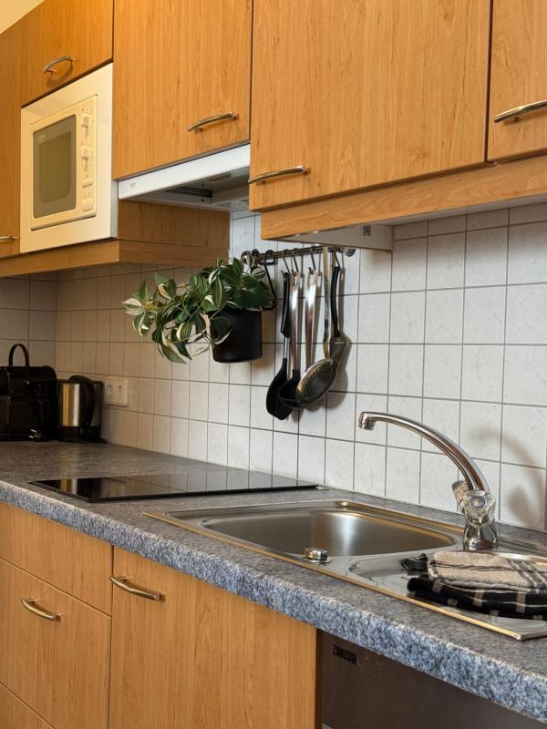Apartment with Terrace image 3