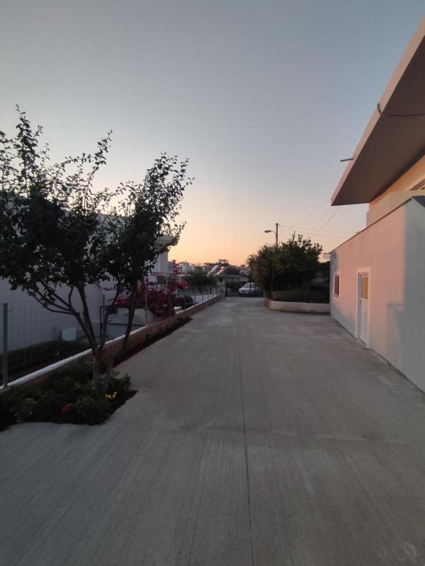 Nori Sela home - image 5