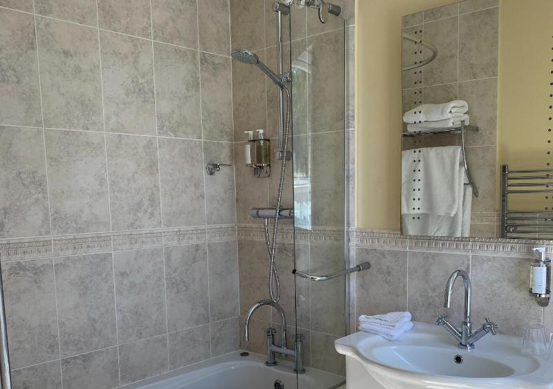 Deluxe Double or Twin Room image 3