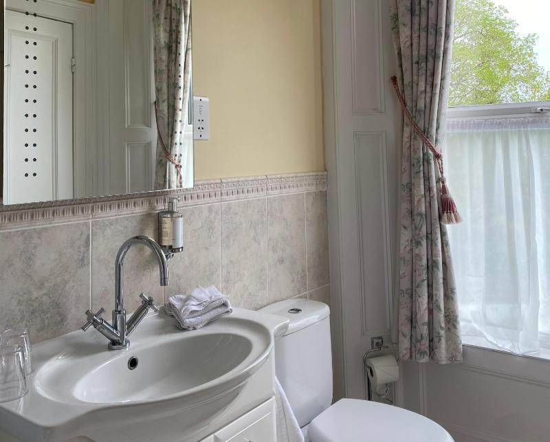 Deluxe Double or Twin Room image 4