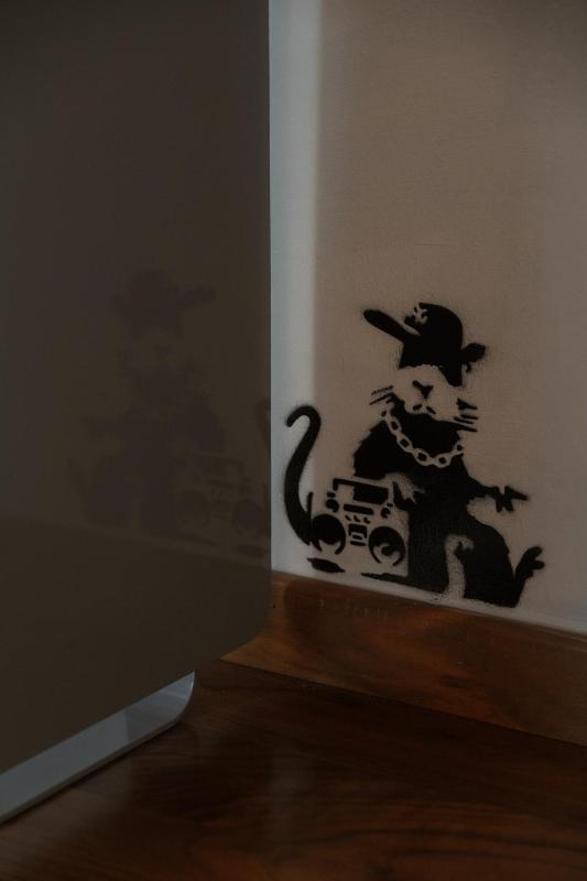 Deluxe Studio image 3