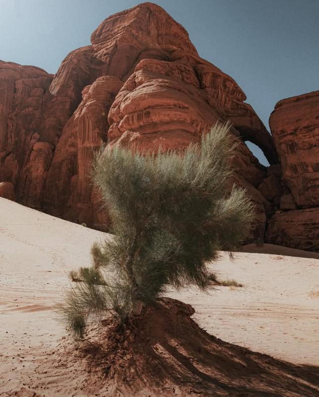 Wadi rum sky luxury - image 12