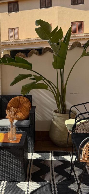 Camere a Sud - image 21