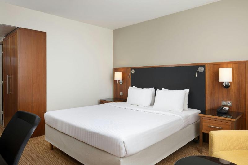 Deluxe King Room image 3