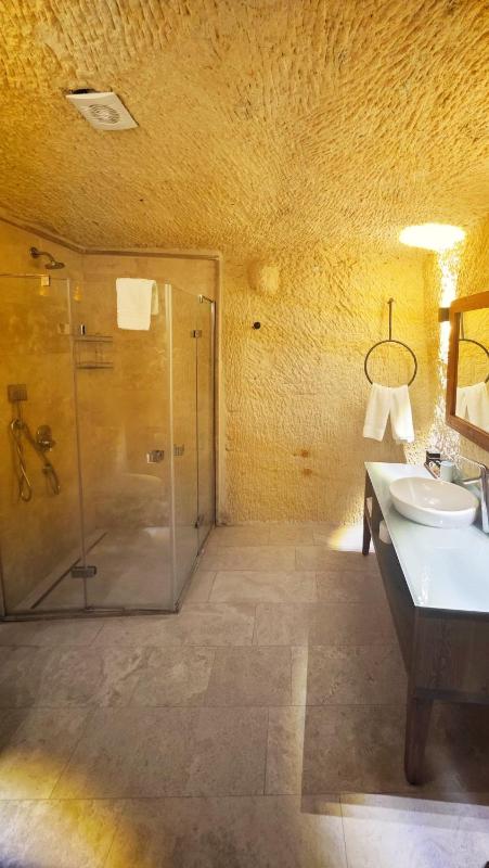 Standard Double or Twin Room image 3