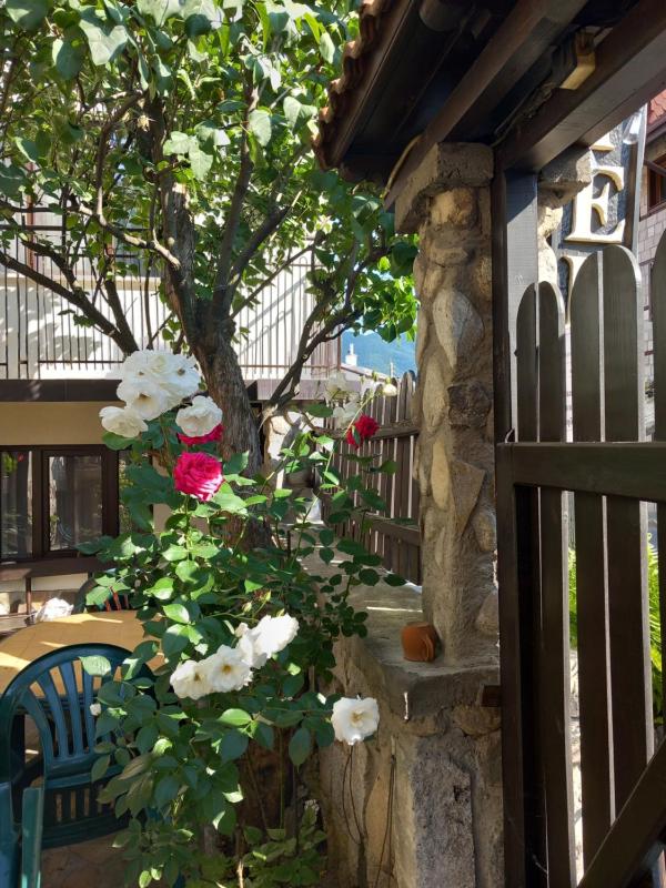 Guest house Skabrin - image 32