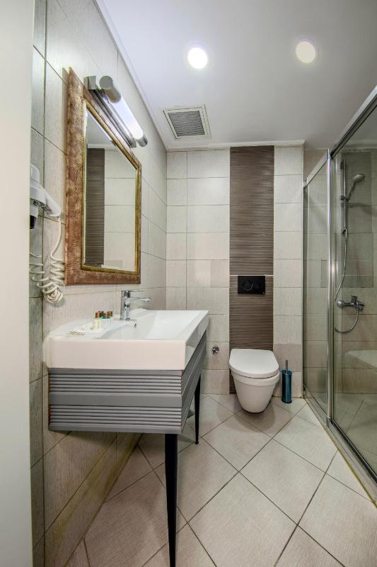 Standard Twin Room image 4