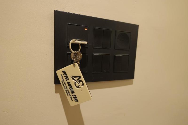 Hotel Aurum Stay - image 33