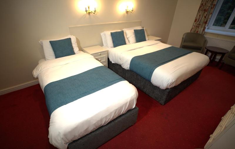 Deluxe Triple Room image 1
